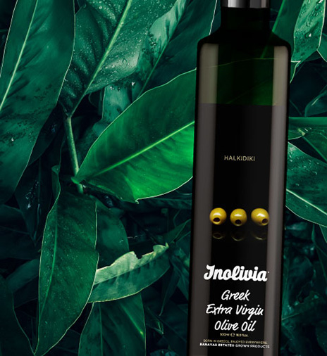 Olive Oil